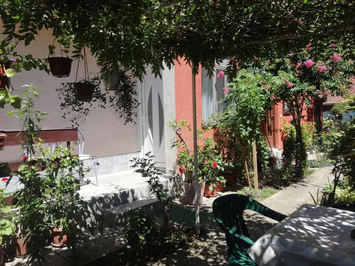 Apartman Nana Ягодина Екстер'єр фото