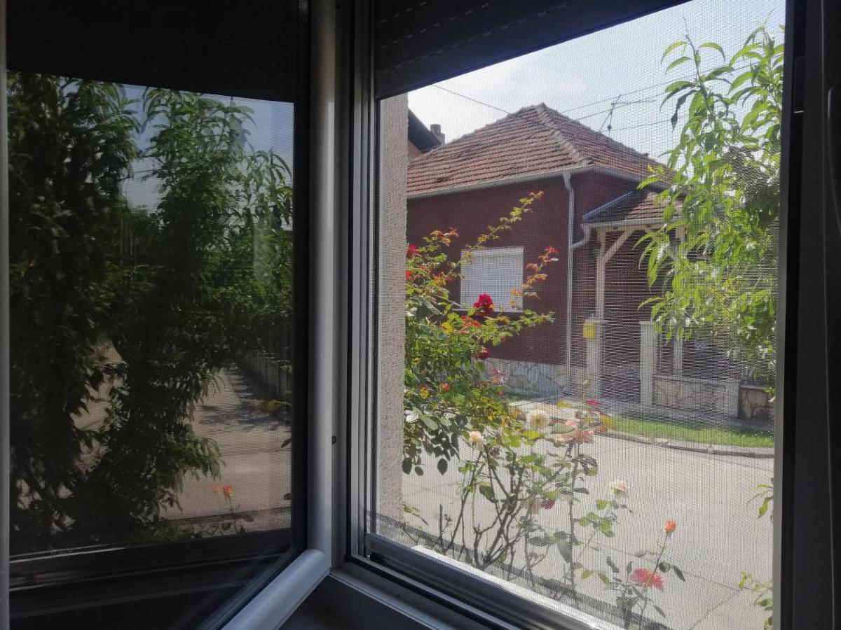 Apartman Nana Ягодина Екстер'єр фото