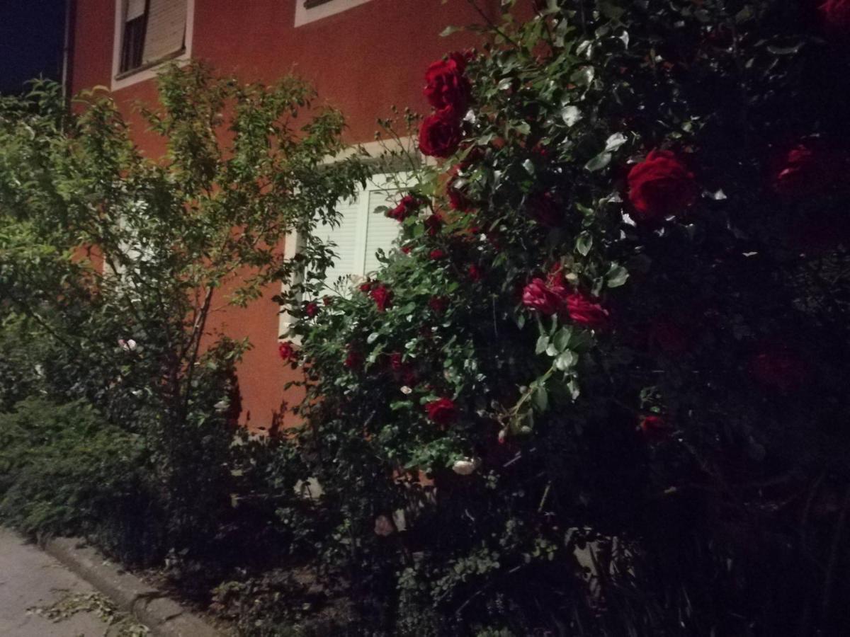 Apartman Nana Ягодина Екстер'єр фото
