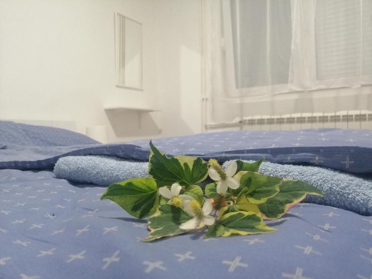Apartman Nana Ягодина Екстер'єр фото